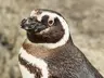 Jasu_7's Avatar