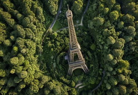 A photorealistic bird view of the The Eiffel Tower, covered in overgrown vines, low-light, morning, surrounded by a dense tropical forest.