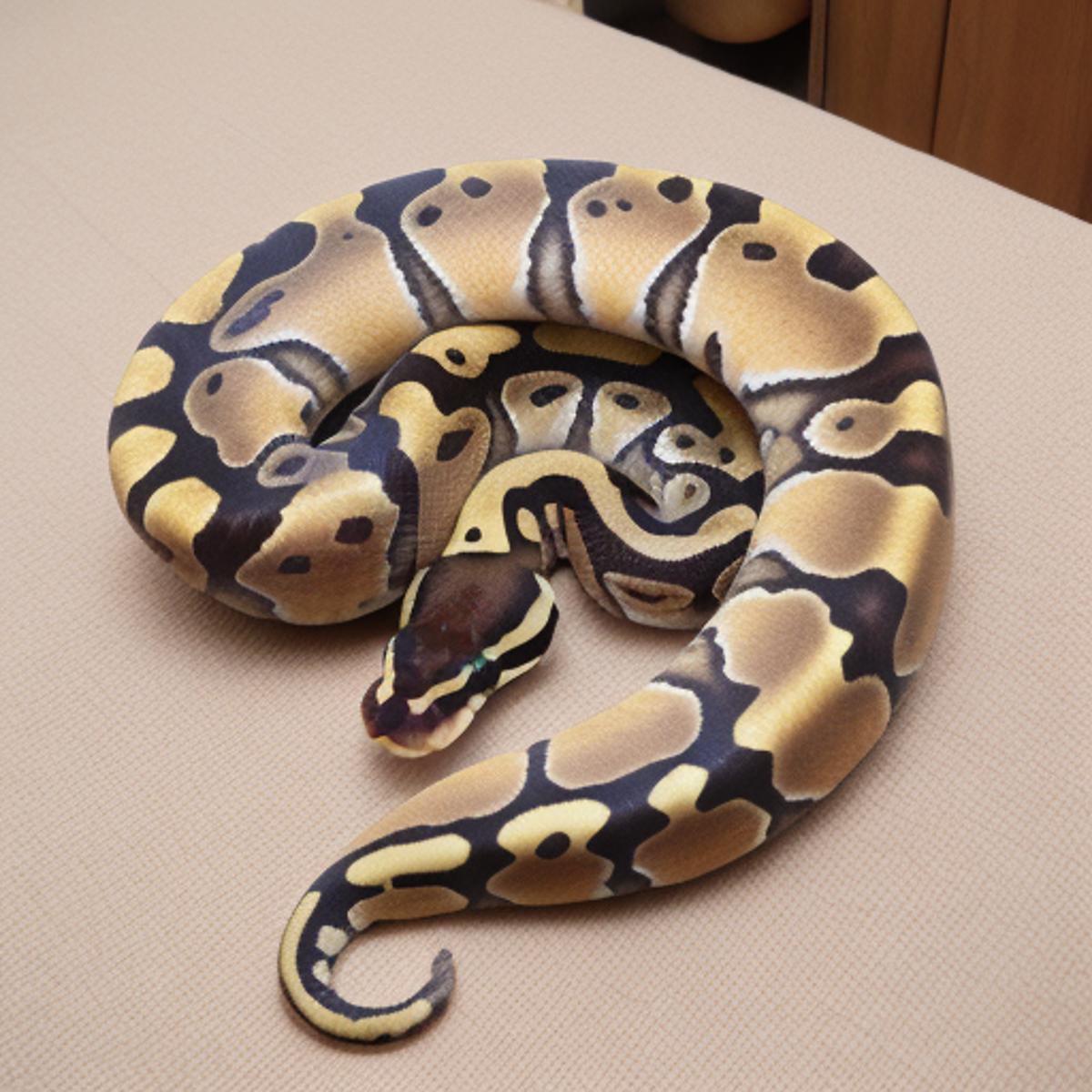 Ball Python Encyclopedia - Over 4800 Morphs - v1.0 | Stable Diffusion ...