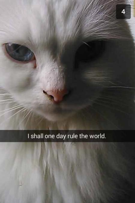 CIddi's Avatar