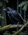 CivitFowl's Avatar