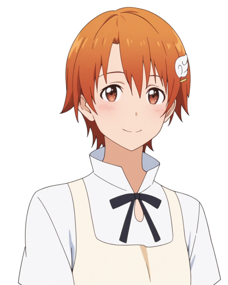 [IL] Mahiru Inami - Working!! v1.0il