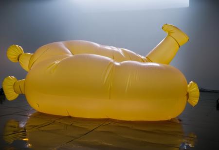 Photograph of two inflatable people fucking, Extraordinary events , drizzle photograph, remain , edge shaped, cures a significant hernia of time, inflatable people fucking, dramatic cinematic lighting, complex shadows, extremely detailed