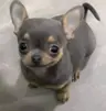 arleking2323861's Avatar