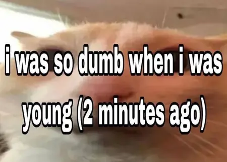 xXMemeMasterXx's Avatar