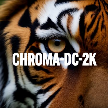 Chroma-DC-2K fp8_scaled_hybrid