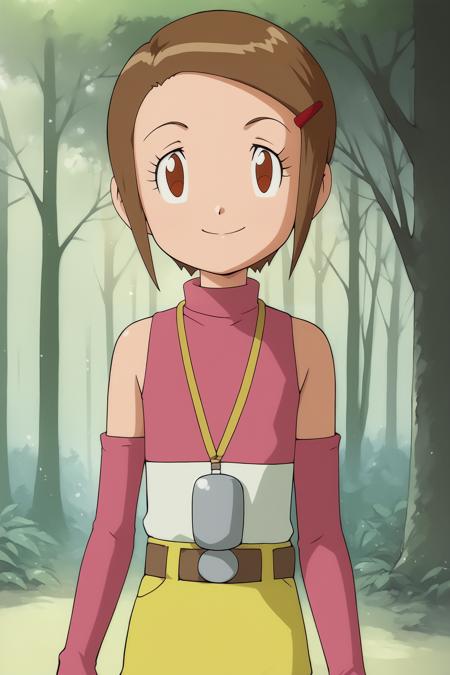 Kari Kamiya (Digimon Adventure 02) - COMMISSION LoRA PonyXL [NSFW Support] vPXL