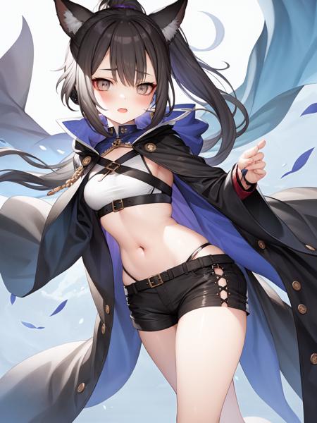 masterpiece, best quality, <lora:exh2-4:1>, 1girl,animal_ears,shorts,coat,black hair, ponytail,