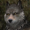 Pizky117's Avatar