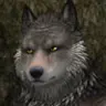 Pizky117's Avatar