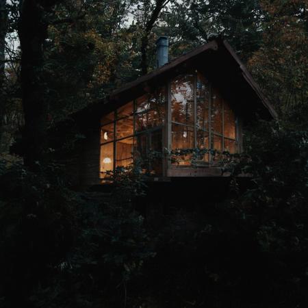 <lora:SDXL_black_and_color_Sa_May-000008:1> a wood house