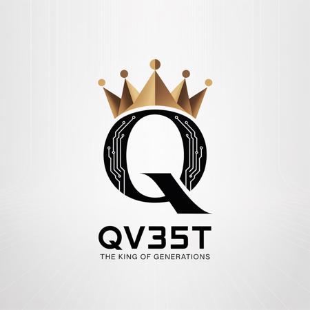 Qv35t's Avatar