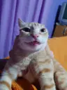 nlwdka's Avatar