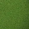 CoolaOoola's Avatar