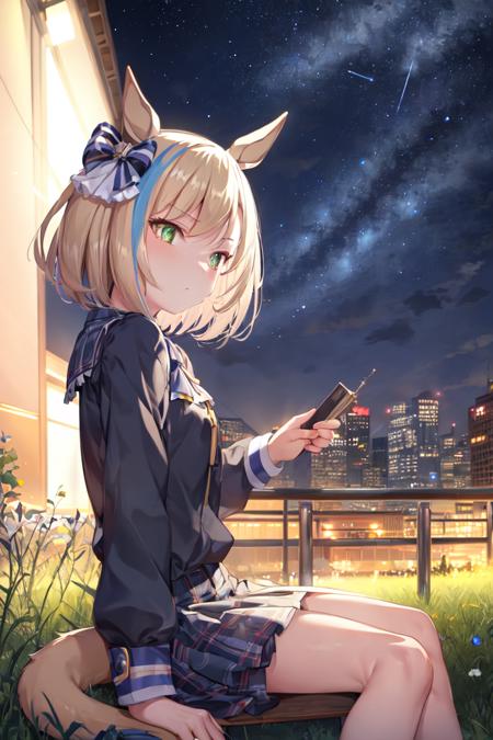 masterpiece, best quality,
little cocon \(umamusume\), 
building, neon, night sky, starry sky, 
looking to the side, sitting, cityscape, from side, looking up, grass,
black shirt, plaid skirt, tail through clothes, 
<lyco:little_cocon_loha:0.8>