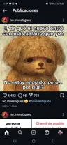 Brussie9's Avatar