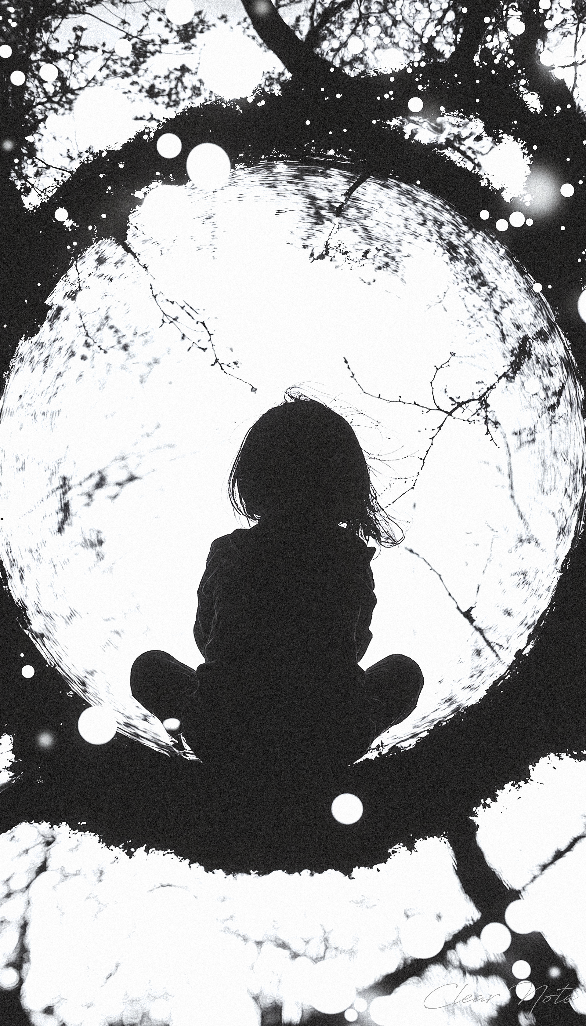 185823_00002_p.png