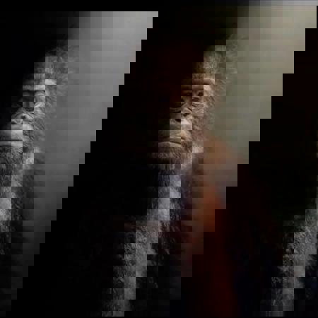 remgoring's Avatar