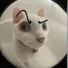 Young4ndNaughty's Avatar