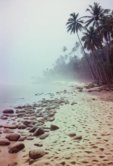 soaked_mundwasser, instagram photo, a foggy beach in sri lanka, hard shadows, film grain