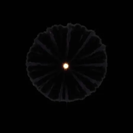 Wan_22_t2v_burst_vfx_ver2_low_noise.safetensors