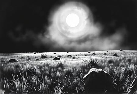 a dark and gloomy landscape of the desolate field in the summer day. despite the middle of the day and the bright sun the whole landscape is haunting with emptiness. the picture is painted only in black and white watercolours. The background is black. 
there are some stones in the fields, wild plants, weed, etc.
the field is the remnant of a crop in the village