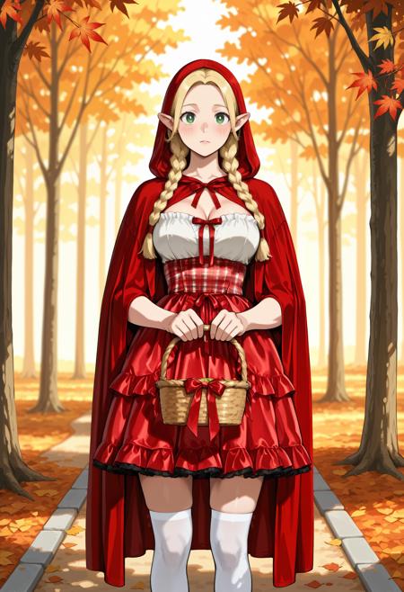 Red Riding Hood Costume illust