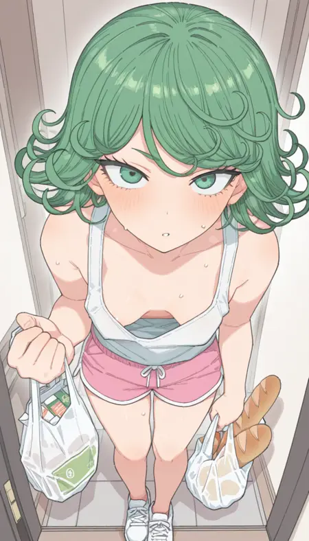 [Style] Mosouko [Illustrious-XL/NoobAI-XL]