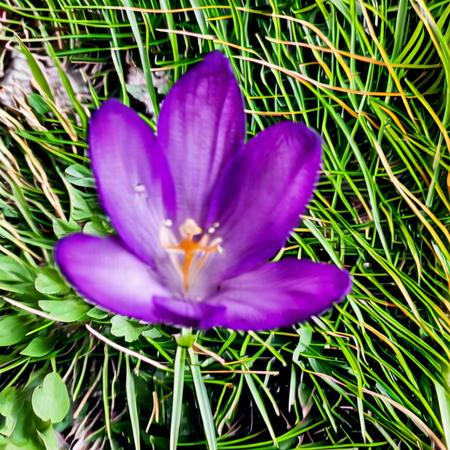 spring flowers SDXL spring flowers SDXL
