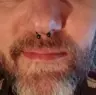 TotallyKhajiit's Avatar