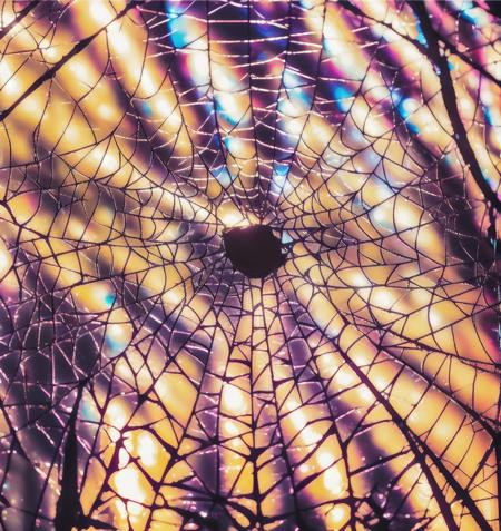 no humans, spider web, sun, sky, fence, scenery, stained glass, lens flare, chain-link fence  <lora:spiderWeb:0.8>