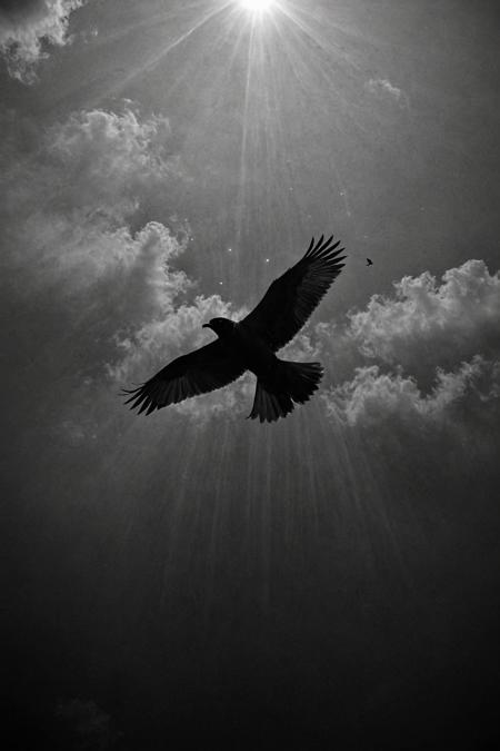 (Bird's Eye View Photography by Horace Roye and Maya Goded:1.2), award-winning photography, aesthetic and beauty,
finely crafted details, absolute sharpness, f/1.4, symmetry and balance, revolutionary, long exposure photography,
crepuscular rays,  goal-driven atmosphere,
cherryred and gradient colors
<lora:zavy-cntrst-sdxl:1>dark, chiaroscuro, low-key