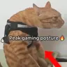 BinBout's Avatar