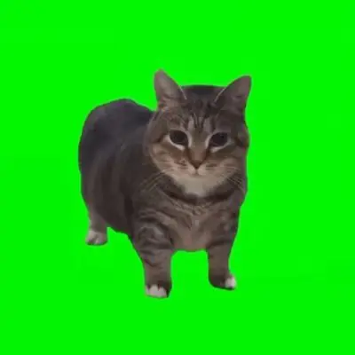 OiiaoiiaCat's Avatar