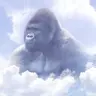 TheMonkeman's Avatar
