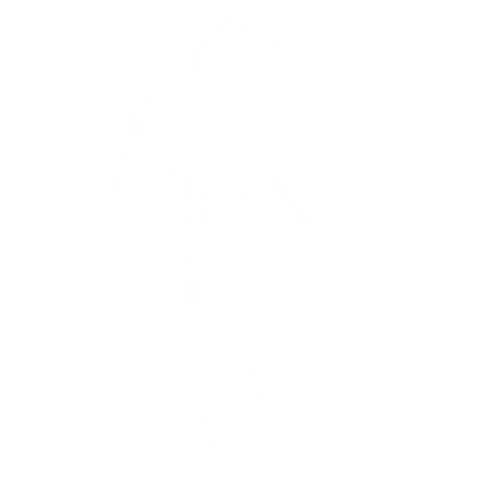 laiven's Avatar