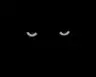 T0pC4t's Avatar