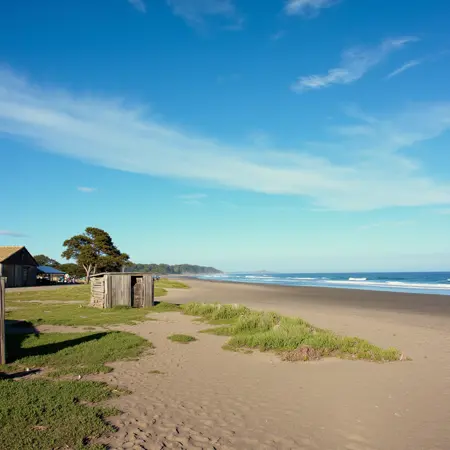 Sony CineAlta "XDCAM" cinematic film style F1D + Pony