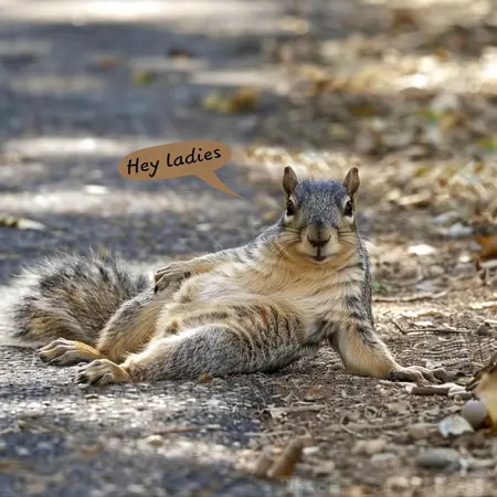 splooting_squirrel's Avatar