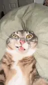 kindastrange's Avatar