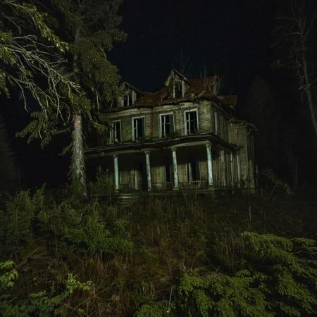 a run down house in the middle of a forest at night, brscprk_01  <lora:brscprk_01-000010:0.6>  scary, horror