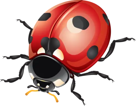 MonkeysOfDeepSpace's Avatar