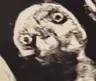 jfgjrty55's Avatar