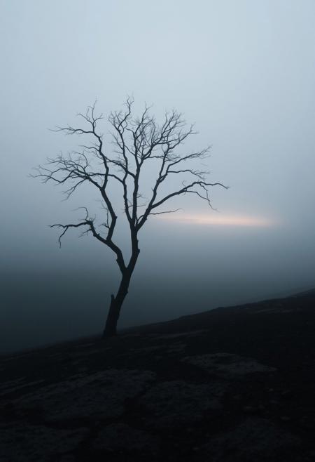 A vast, mist-covered landscape stretches into the distance, the soft light of dawn or dusk barely piercing through the thick fog. In the foreground, the silhouette of a lone, leafless tree stands in stark contrast to the misty surroundings, its gnarled branches reaching out like dark veins. The ground is a mix of wet earth and rocks, textured and detailed, leading the eye towards a distant horizon that fades into the soft, indistinct light. The muted colors—soft grays, pale blues, and desaturated greens—create a sense of calm, solitude, and contemplation. The atmosphere feels heavy with emotion, as if the landscape itself is holding secrets. The mist blurs the edges of the natural elements, giving the scene a dreamlike quality, while the soft shadows and subtle contrasts emphasize the melancholy mood. Everything in the scene feels timeless, as if caught between reality and a memory.