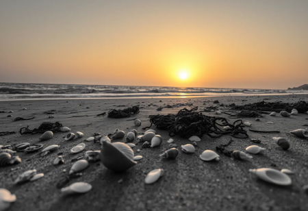 Selective Colouring photo of a beach at sunset, seashells and seaweed scattered on the shore, yellow sun, monochrome