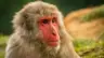 CharlimonAI's Avatar