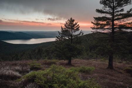 raw photo, a sunset landscape, Valdivian temperate forests, Chilean forest,  cozy, photorealistic, high detailed texture, 8k uhd, dslr, soft lighting, high quality, film grain, Fujifilm XT3, Sony A7 IV, highly detailed photography, (muted colors, cinematic, dim colors, soothing tones:1.2), vibrant, insanely detailed, hyperdetailed, (dark shot:1.2), (vsco:0.3), (intricate details:0.9), (hdr, hyperdetailed:1.2) (highest coherency: 1.39) (highest quality: 1.39) (rule of Thirds) (award winning) (breathtaking) (masterclass) (vibrant color: 0.79) (raining)