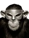 55es55's Avatar