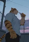 logonfive's Avatar