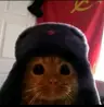 Roberto152's Avatar